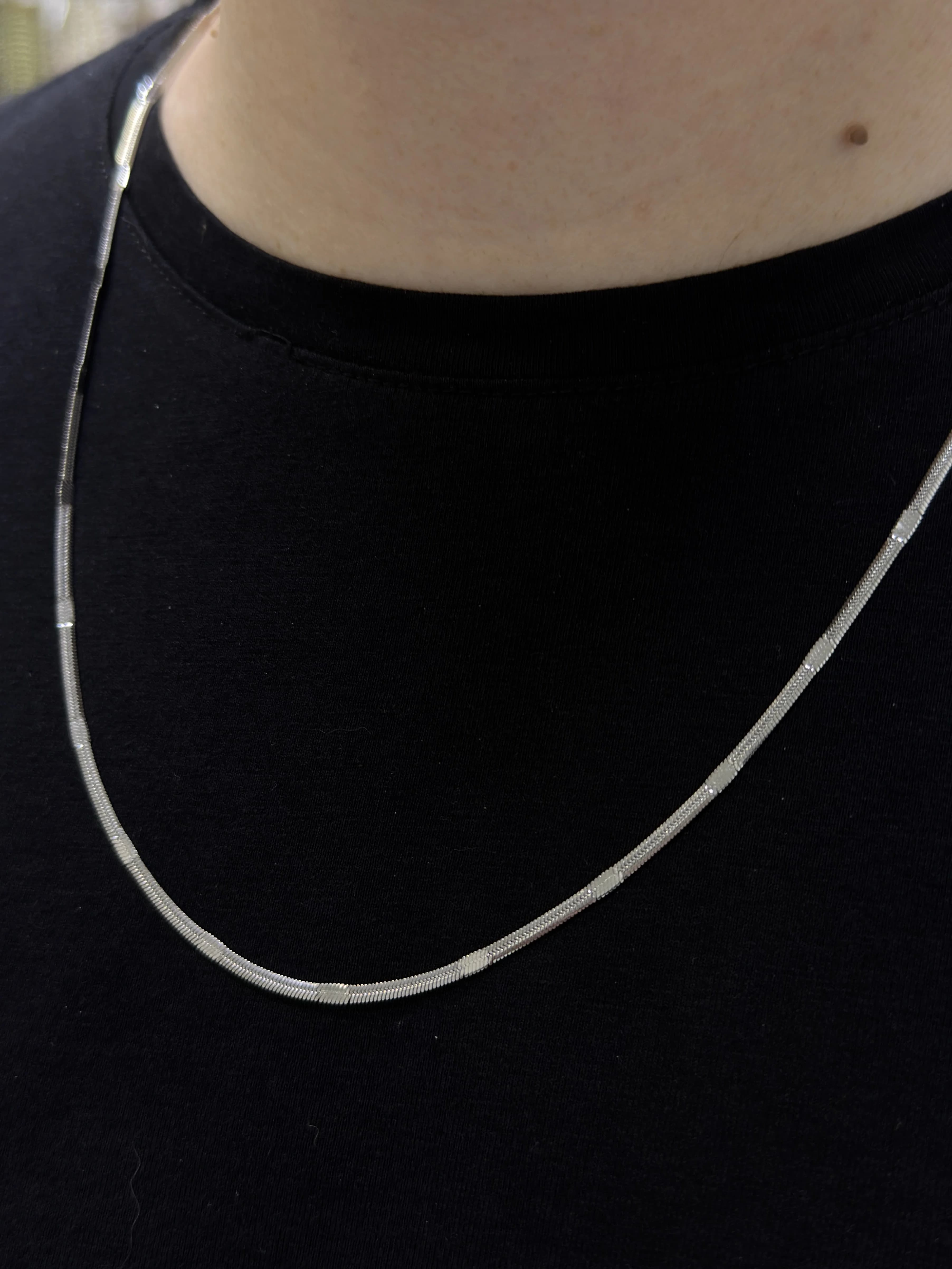 Çelik Erkek Ezme Yılan Kolye 60 cm