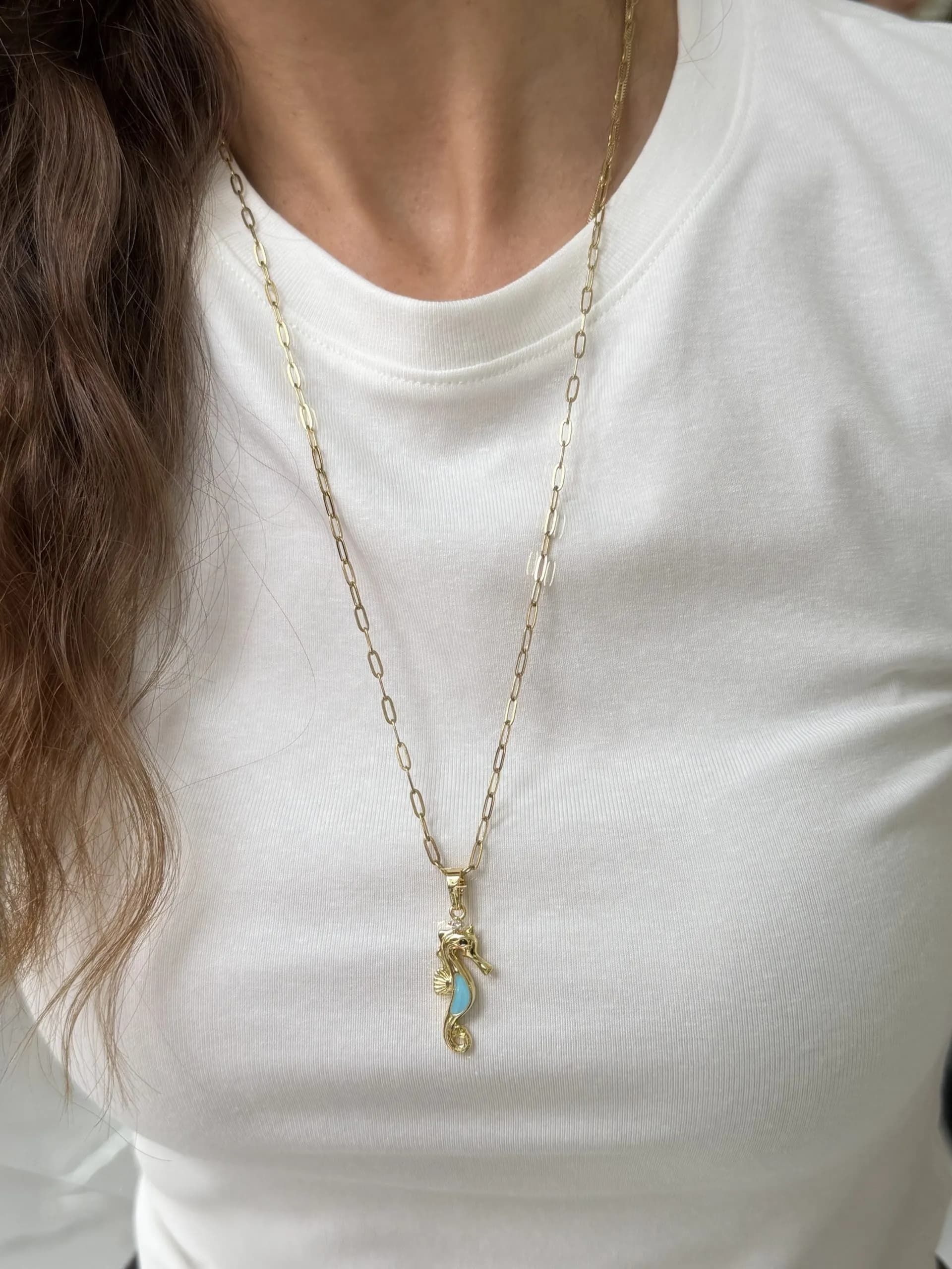 Çelik Uzun 60 cm Deniz Atı Kolye