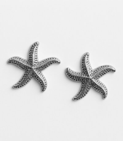 Gümüş Renk Deniz Yıldızı Küpe