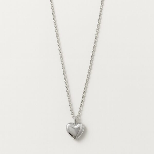 Çelik Gümüş Renk Kalp Kolye