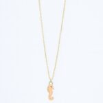 Çelik Krem Mineli Deniz Atı Kolye