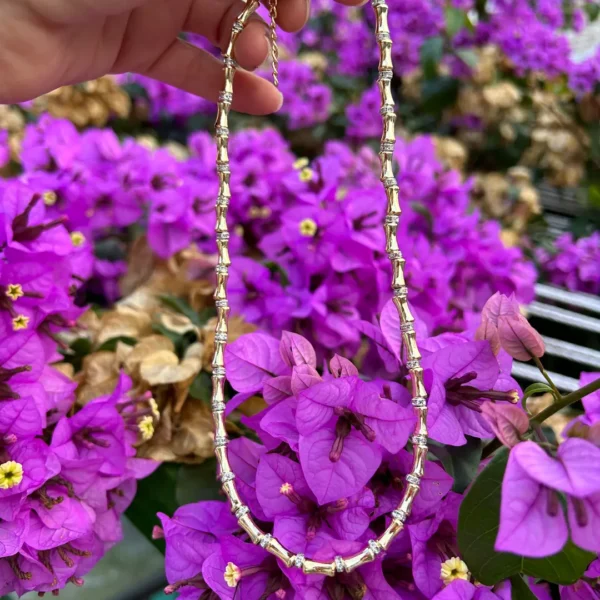 Leyla Avukat Serenay Kolyesi Gold