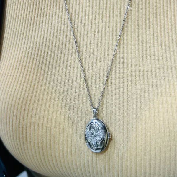 Çelik Gümüş Renk Kapaklı Anka Kuşu Alya Kolye 50 cm