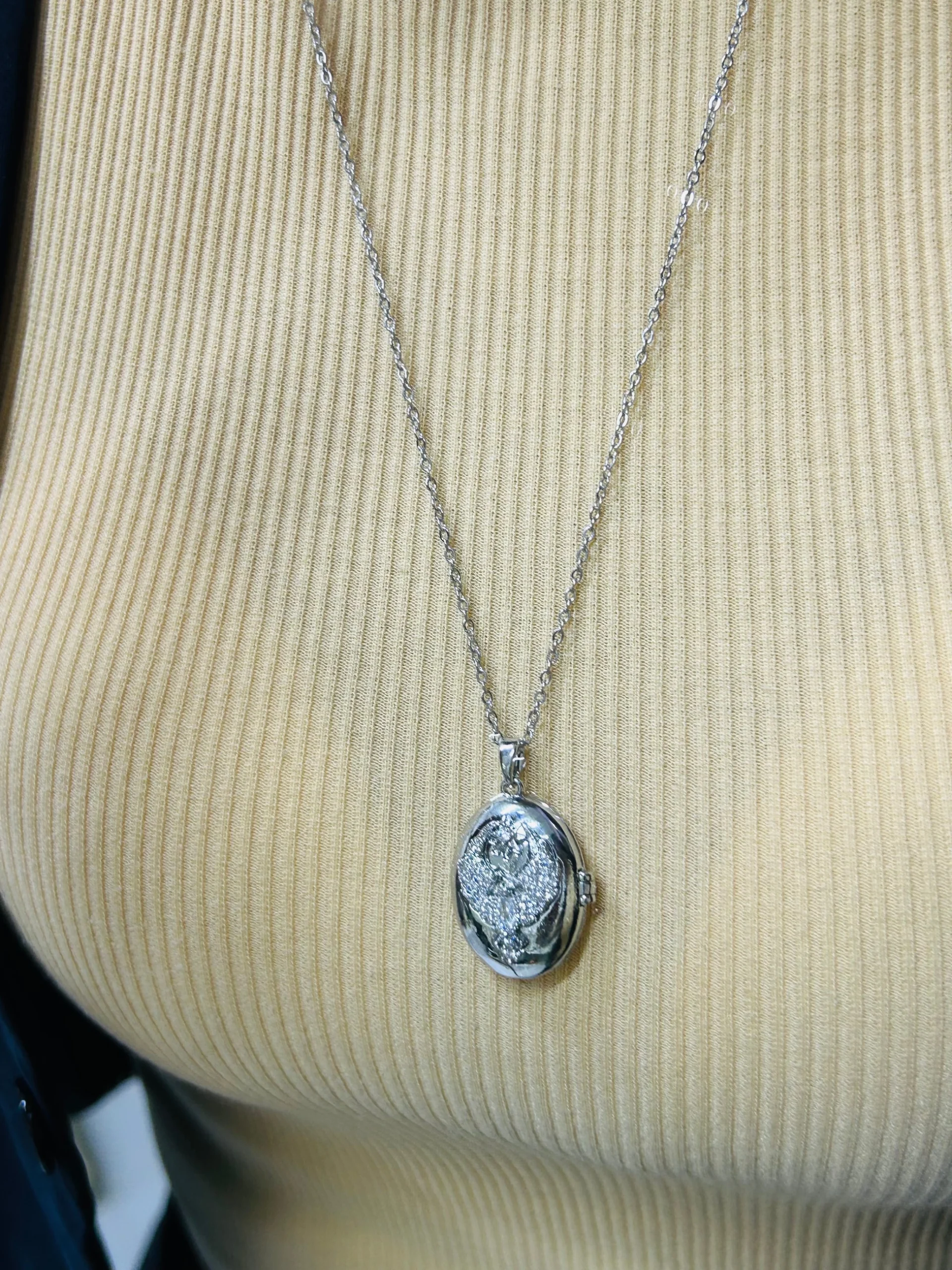 image_1950 Çelik Gümüş Renk Kapaklı Anka Kuşu Alya Kolye 50 cm - Görsel 1