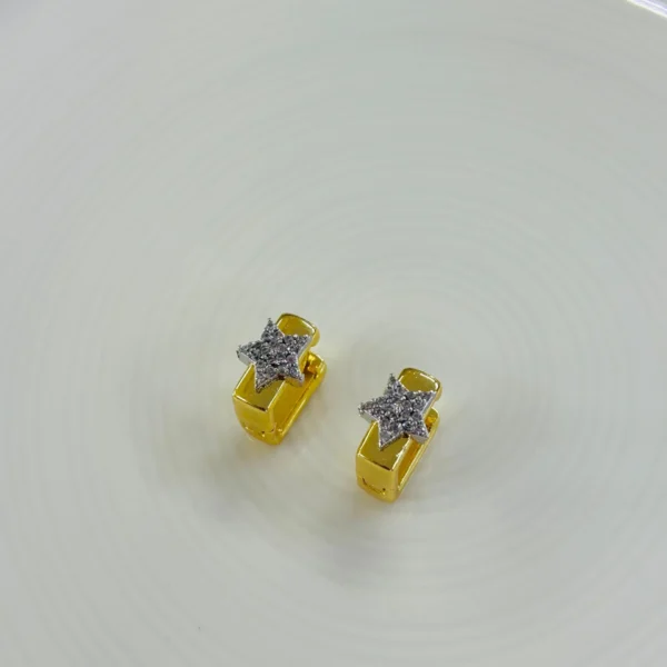 Vip Zirkon Taş Yıldız Kare Küpe