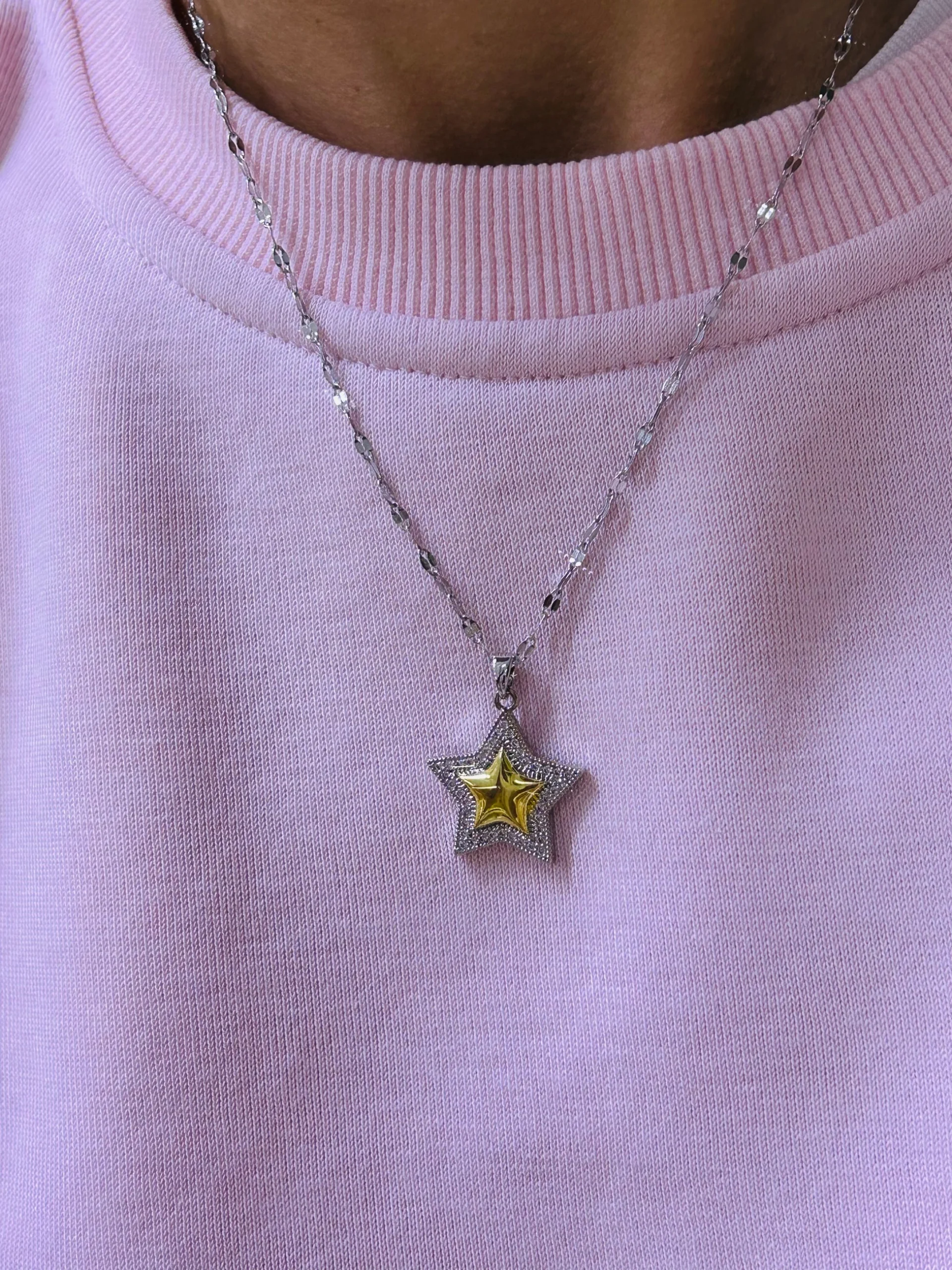 Çelik Çift Renk Taşlı Yıldız Kolye Çelik Çift Renk Taşlı Yıldız Kolye - Görsel 1
