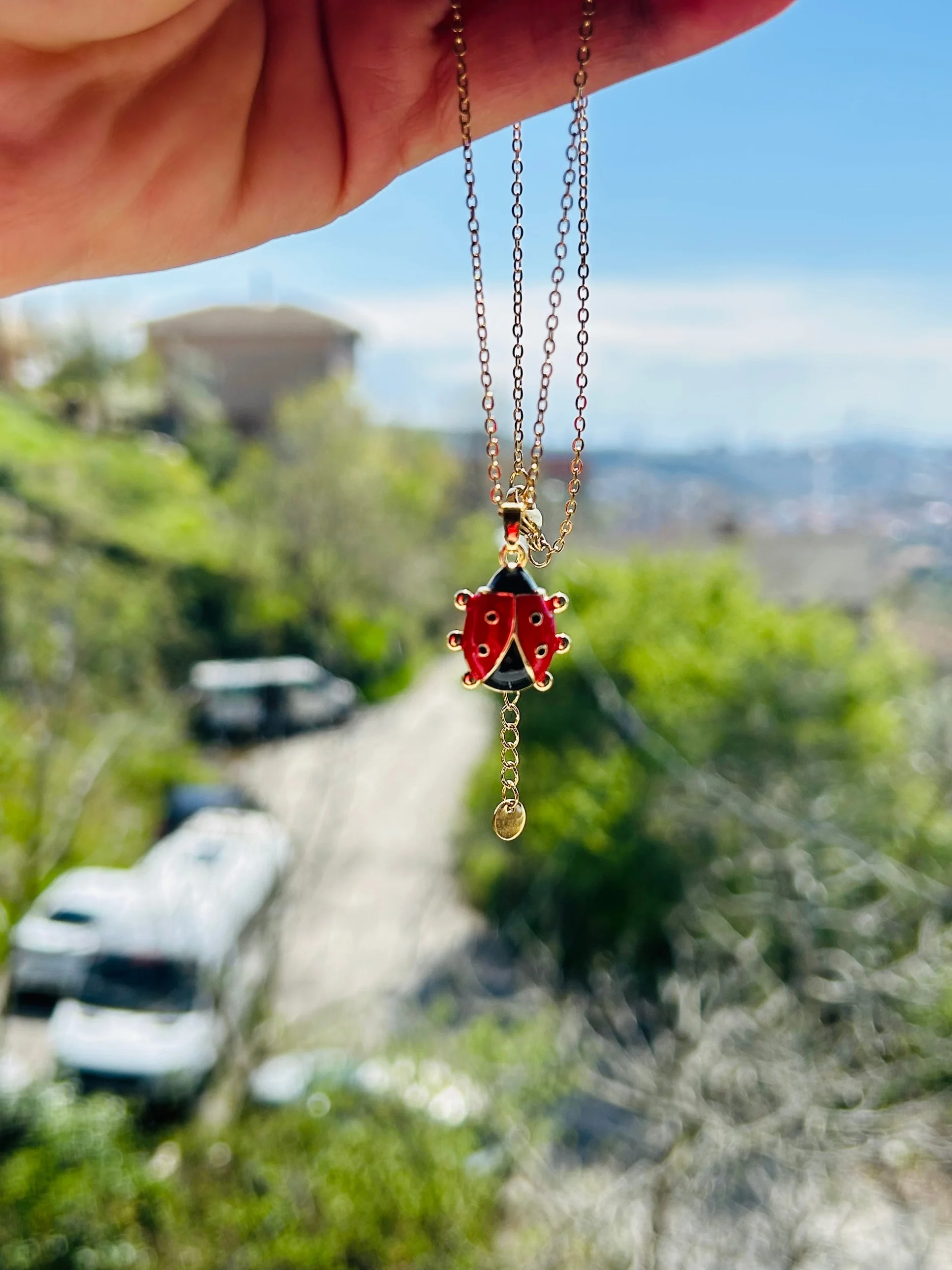 Çelik Uğurböceği Kolye Çelik Uğurböceği Kolye - Görsel 1