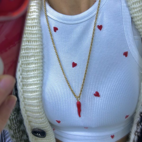 Çelik Uzun Burgu Biber Kolye