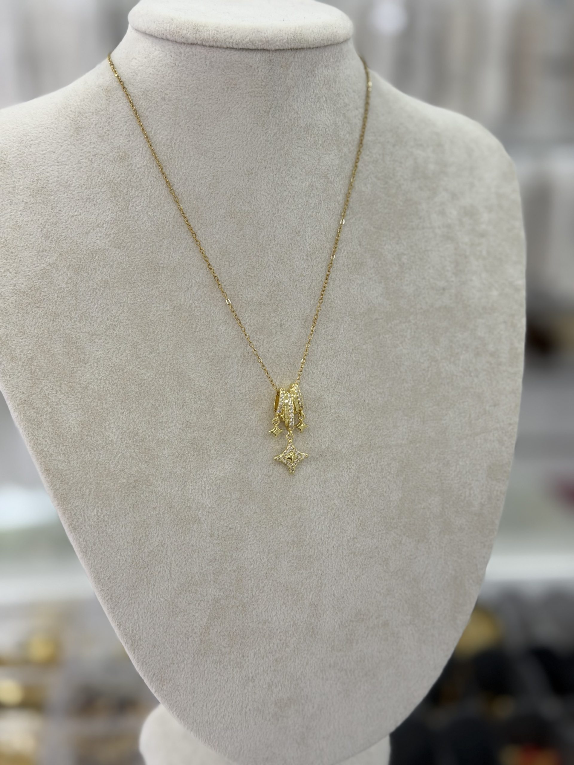 img_4294 Çelik Luis Charm Kolye - Görsel 1