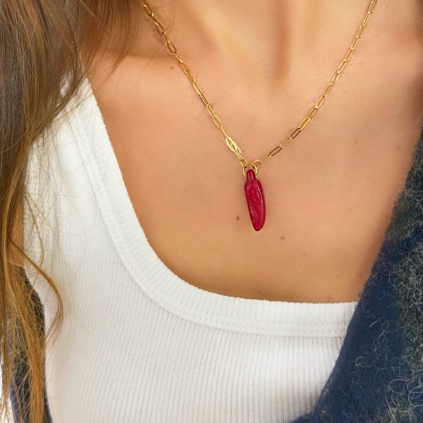 Çelik Ataç Zincir Biber Charm Kolye