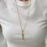 Çelik Uzun 60 cm Balık Kolye