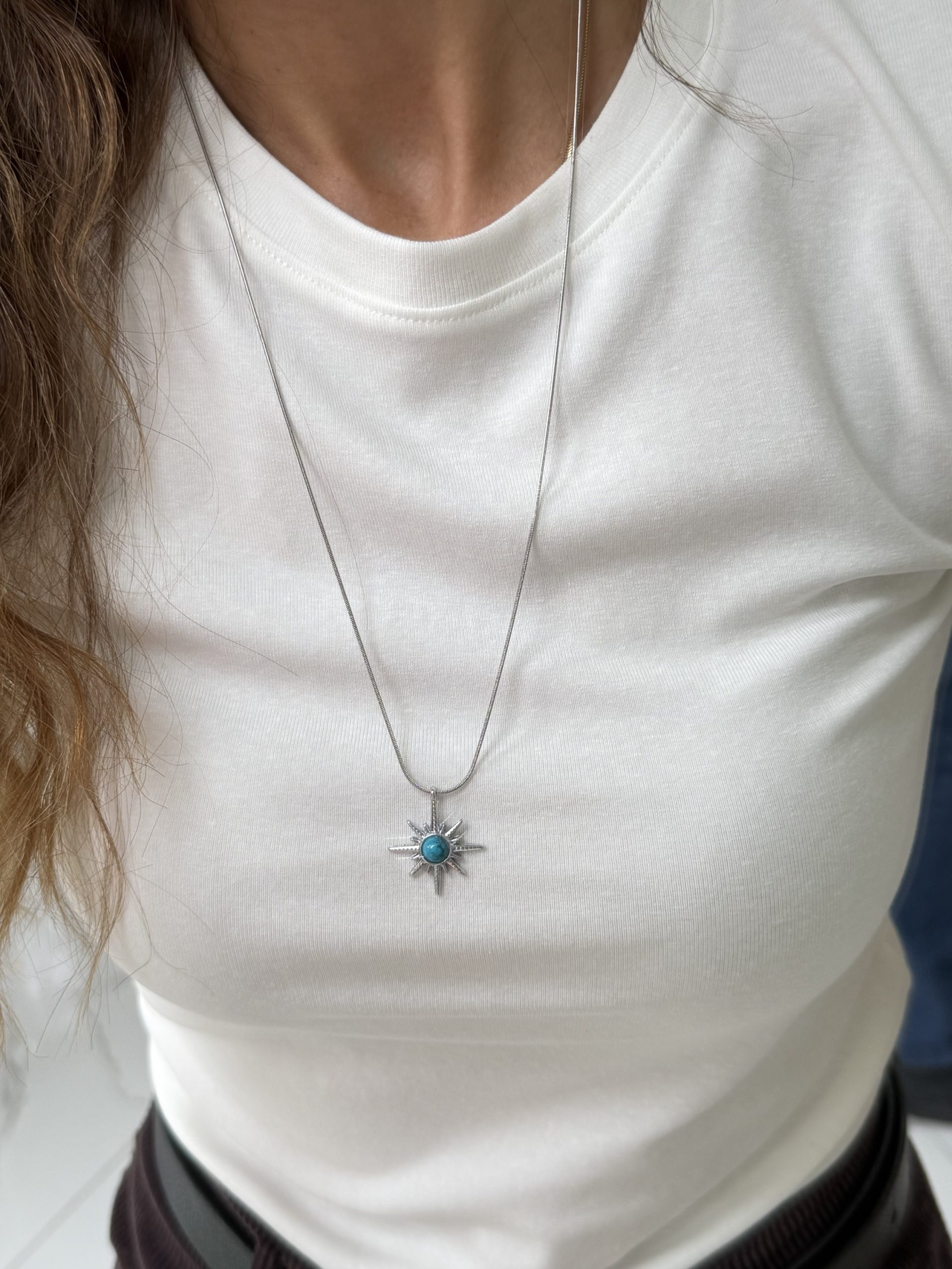 img_5553 Çelik Gümüş Renk Uzun 60 cm Kutup Kolye - Görsel 1